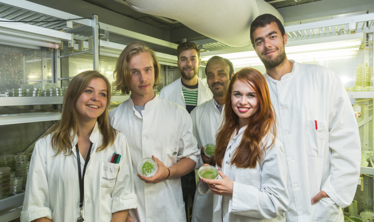 iGem2015